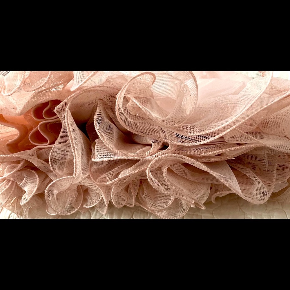 Beautiful blush layered skirt